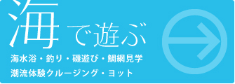 海で遊ぶ