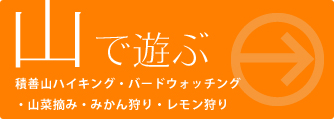 山で遊ぶ