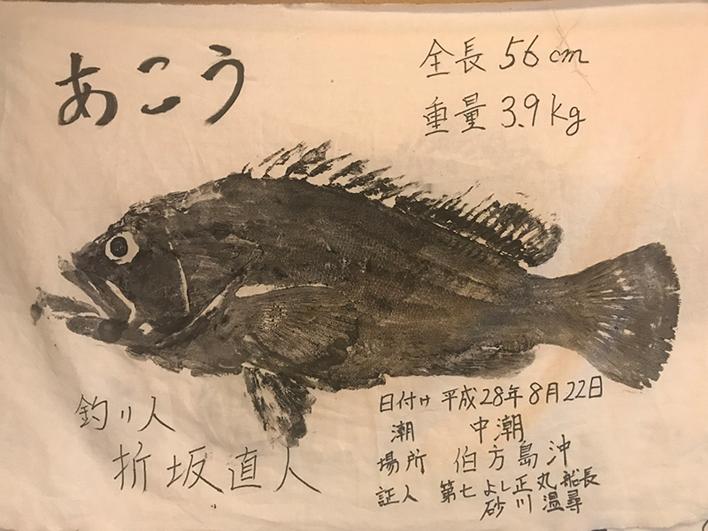 あこう56cm