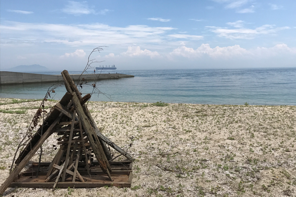 海
